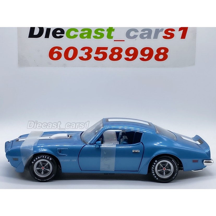 Ertl '70 Pontiac Trans Am 1:18. – diecastcars1