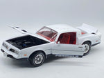Auto world ‘77 Firebird Formula 1:18.