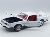 Auto world ‘77 Firebird Formula 1:18.